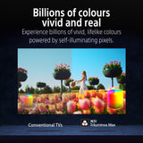 BRAVIA 8 II | 55 Inch | XR Processor | OLED | 4K Ultra HD | High Dynamic Range (HDR) | Smart TV (Google TV) - Shipping from Mid May 10