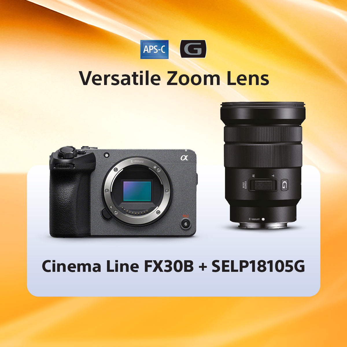 Sony Store Online Singapore | Buy FX30B | Video Camera | Cinema 