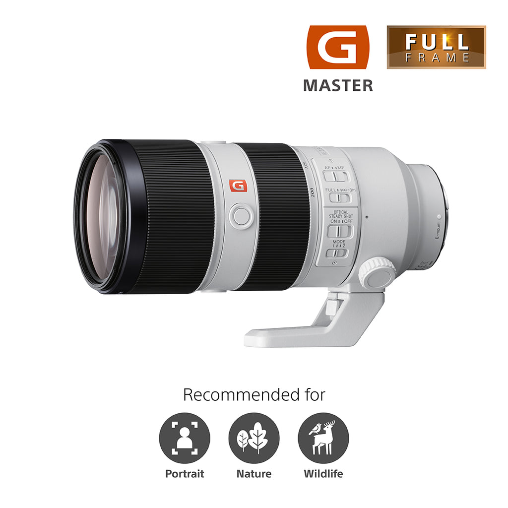 極美品】SONY FE 70-200mm F2.8 GM SEL70200GM