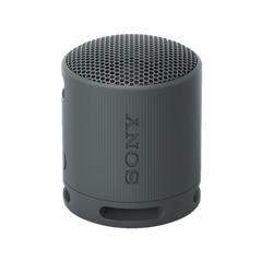 SRS-XB100 Portable Wireless Speaker